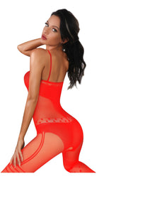 Women Fishnet Bodysuit Lingerie (FAB-21116)