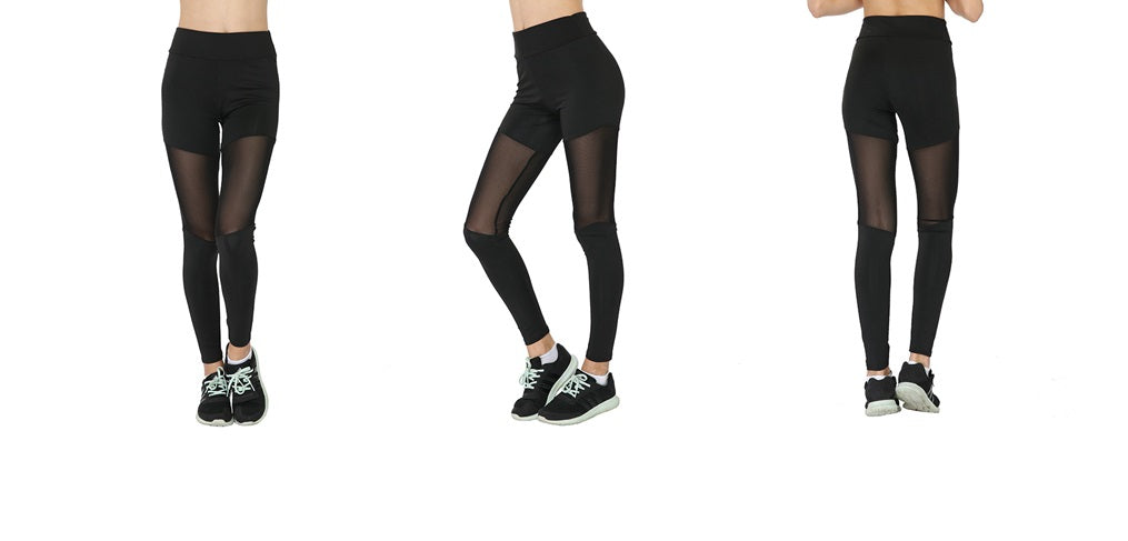 Leggings Mesh Active Pant (FAB-19103)