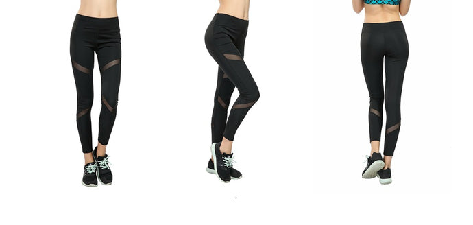 Leggings Mesh Active SportsPants (FAB-19108)